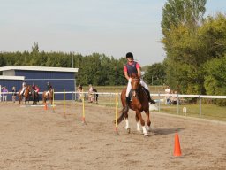 img_7474_web